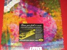 The Litter - $ 100 fine -- LP / Rock