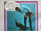 Geno Washington & The Ram Jam Band - Shake A Tail Feather (LP)