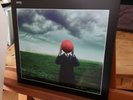 Pink Floyd - Live at Knebworth - 1990 - 2 LP Vinyl - 180g - Enhanced Audio Qual.