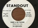THE DEBUTANTES - Shake A Tail Feather STANDOUT GARAGE ROCK PROMO 45 RARE