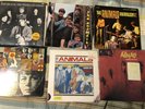 The Animals Vinyl LP Lot, 7 Albums In Great Condition - Animalism, Live, Etc.