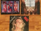 3 1980s RAVEN LP Vinyl METAL Records Stay Hard PACK IS BACK Mad - MINT Atlantic