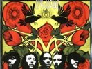 INCUBUS: CROW LEFT OF THE MURDER :LP vinyl *BRAND NEW*: