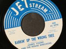 JAMES YOUNG & HOUSE WRECKERS: barkin' up the wrong tree / funky booty JET STREAM