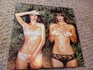 ROXY MUSIC COUNTRY LIFE RECORD LP ATCO 1974 UNCENSORED COVER