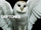 Diamond Eyes [White Colored Vinyl] by Deftones- 2010 Release