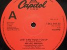 Mystic Merlin - Just Can't Give You Up (12
