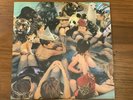Person Pitch 2 x LP Panda Bear Black Vinyl Record