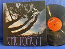 RARE BIRD EPIC FOREST 2442101 POLYDOR + 45T (7') ORIGINAL UK LP NEAR MINT