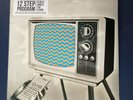 People Under The Stairs 12 Step Program Vinyl PUTS