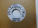 SHELBY FLINT WONDERLAND // PIPES FOR KEITH PROMO NEAR MINT 45  VALIANT