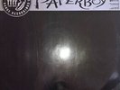 Paperboy - Ditty (12