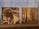 taylor swift folklore vinyl in the trees plus stolen lullabies