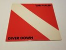 Vintage 1982 Van Halen Diver Down Original LP Vinyl Warner Bros Records BSK3677