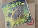 CHOLERA The Answer To Infection WAX VESSEL /50 Sigfection WV SIGNATURE Vinyl NEW