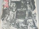 The Ramones, Sheena is a Punk Rocker, VERY RARE U.S. 7
