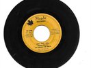 RARE LEE MOSES FREE AT LAST/ GOT THAT WILL SOUL 45 MAPLE RECORDS FUNK R&B SOUL