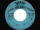 Northern Soul 45 - Pal Rakes - Can't Deny The Hurt - VERVE - Original