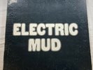 Muddy Waters 