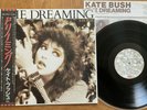 KATE BUSH - THE DREAMING - TOP 1st JAPAN VINYL 33 LP + OBI - EMI EMS-91044