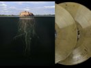Mars Volta De Loused In The Comatorium VMP Vinyl Me Please Gold Black Vinyl 2XLP