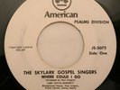 Black Gospel 45 - SKYLARK GOSPEL SINGERS - Where Could...AMERICAN PSALMS DIV mp3