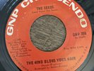 THE SEEDS THE WIND BLOWS YOUR HAIR 45 RARE PSYCH GARAGE VG+
