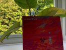 Dave We’re All Alone In This Together Limited Edition Red Vinyl LP WAAITT Santan