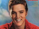 Y5107 Elvis Presley / For LP Fans Only 180 Gram Vinyl Record