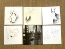Paul McCartney Chaos And Creation In The Backyard. V Rare 1st Pressing, + Inners