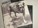 1995 Alice In Chains Self Titled S/T Tripod LP Columbia ?Records C2 67248 VG/VG+
