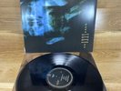 Vinyl Lp Skinny Puppy ?– VIVIsectVI