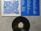 TERRORVISION 'How To Make Friends & Influence People' 1994 Vinyl LP - H08