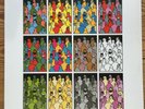 THE MACCABEES - COLOUR IT IN. 2015 FICTION RECORDS VINYL LP REISSUE.