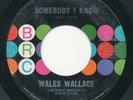 70s - WALES WALLACE Somebody I Know BRC 70s Soul Modern 45 MONSTER Hear