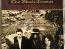 The Black Crowes 