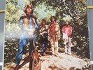 CREEDENCE CLEARWATER REVIVAL - LP ITALIA 1983 - GREEN RIVER -  MINT - ORCI 4514