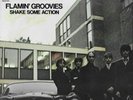 FLAMIN' GROOVIES-SHAKE SOME ACTION-SIRE LP STILL SEALED