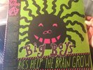 BIG BOYS Lullabies Help The Brain Grow STILL SEALED 2014 LP(Austin TX Punk/Skate