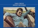 PRINE,JOHN-SWEET REVENGE VINYL LP NEW