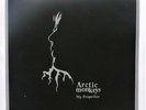 Arctic Monkeys My Propeller 10