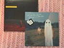 Phoebe Bridgers 2 vinyl set - Punisher on Gold Vinyl and Stranger in the Alps LP