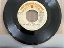 THE VOICES OF EAST HARLEM - CASHING IN / I LIKE HAVING YOU... - JUST SUNSHINE 7”