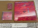 Dave We’re All Alone In This Together WAAITT Limited Edition Red Vinyl Santan ++