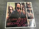 Lenny Kravitz Are You Gonna Go My Way Clear Vinyl