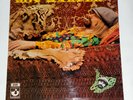 ROY HARPER Flat Baroque & Beserk UK 2nd PRESS Folk/Psych LP 1971 HARVEST EMI