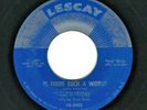DOO WOP 45  The Carnations  Lescay  3002