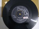 THE CONTOURS/CLASSIC/ WIGAN ALLNIGHTER TUNE/ BABY HIT AND RUN/ MOTOWN 886