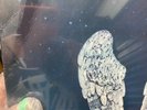 COLDPLAY-GHOST STORIES - VINILO NEW VINYL RECORD Free Shipping