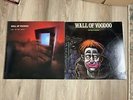 Wall of Voodoo-2 Albums-